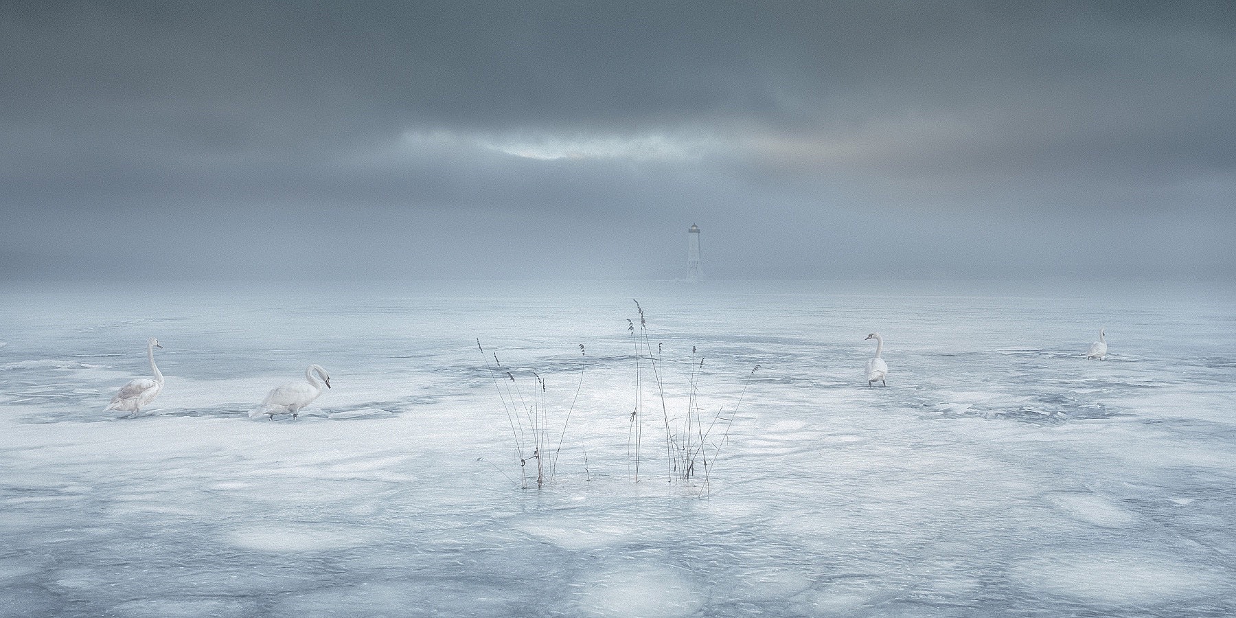 Yuri	Pritisk - (NOT)permafrost - Felix Schoeller Photoaward